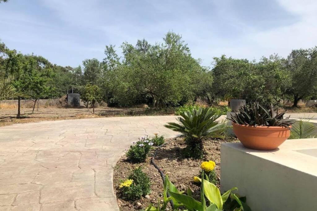 Fiore Di Rodi - Private Pool, Jacuzzi And Barbecue เอียลิซอส ภายนอก รูปภาพ