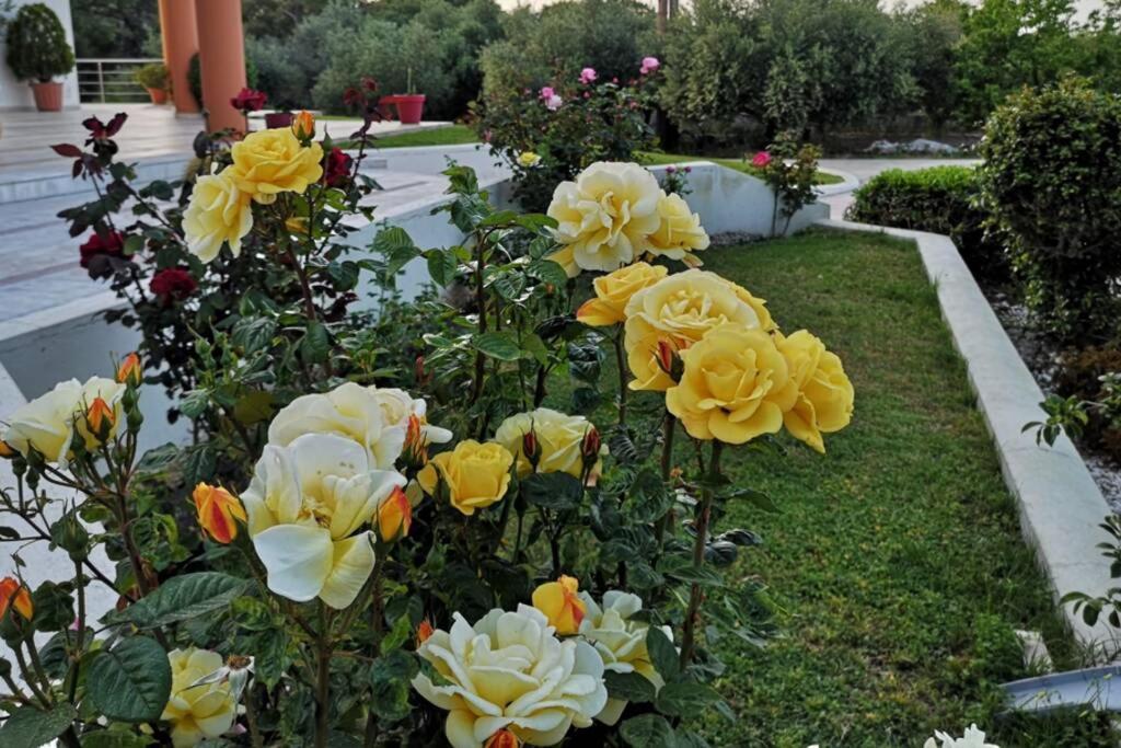 Fiore Di Rodi - Private Pool, Jacuzzi And Barbecue เอียลิซอส ภายนอก รูปภาพ